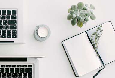 《Skin Deep》是2025年最佳猫咪游戏